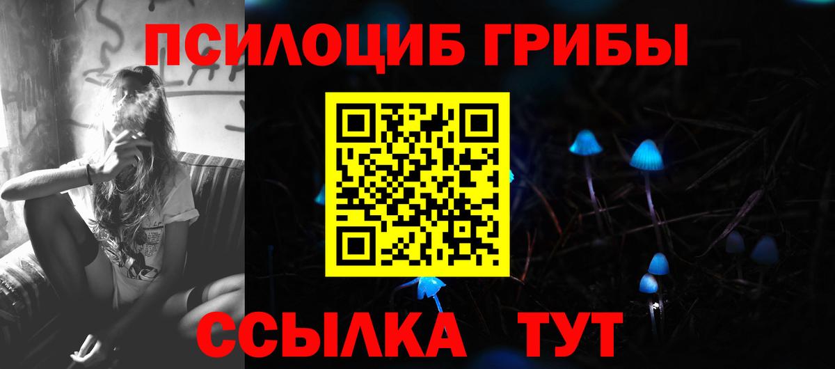 Галлюциногенные грибы ЛСД  Галлюциногенные грибы ЛСД  Вход с VPN  Курчалой 